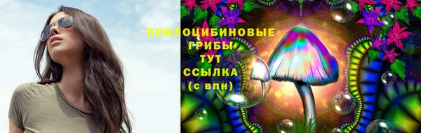 трава Абинск