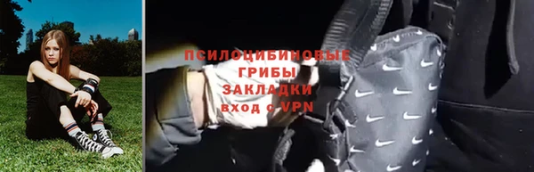 молекула духа Пересвет