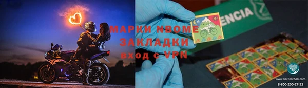 молекула духа Пересвет