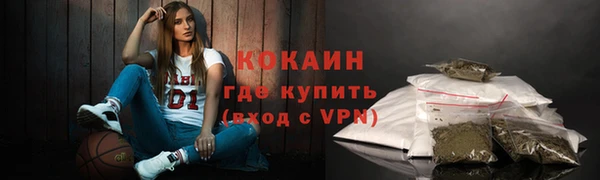 молекула духа Пересвет