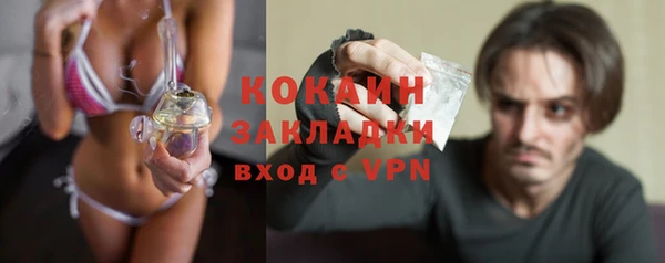 молекула духа Пересвет