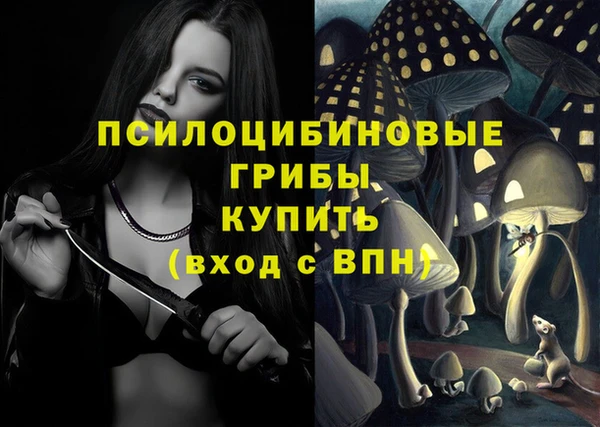 трава Абинск